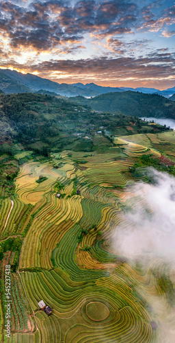 Rice fields on terraced prepare the harvest at Northwest Vietnam. photo