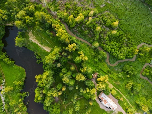 Aerial of wetlands and algae in a green forest