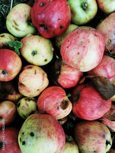Vertical closeup of red and green 