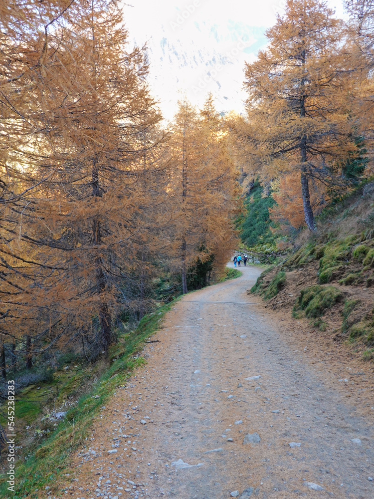 Fototapeta premium Herbstwanderung zum Hirzer Südtirol