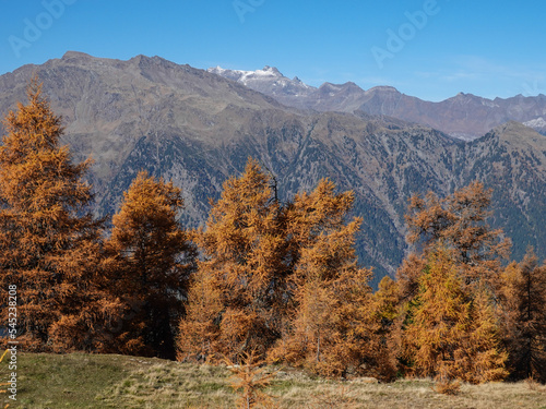 Herbst in den Bergen Südtirols