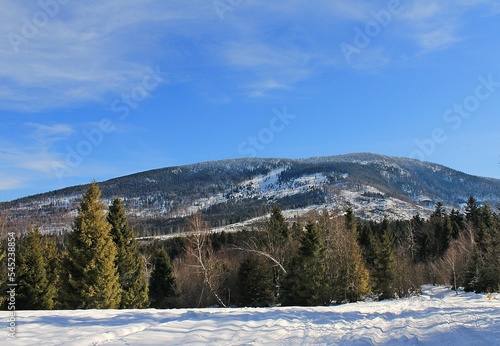Wallpaper Mural Beautiful shot of a landscape covered in snow during the day in winter Torontodigital.ca