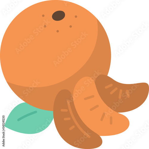 tangerine  icon