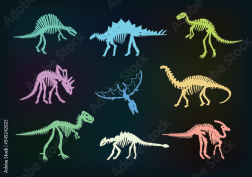 Dinosaur bones vector illustrations set. photo