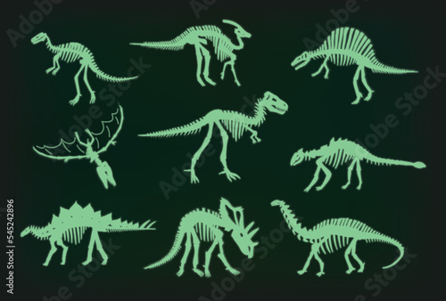 Dinosaur bones vector illustrations set.