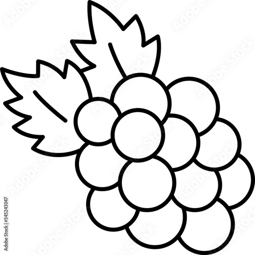 blackberry  icon