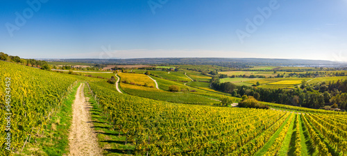 Weinberge im Rheingau im Herbst von oben (Drohne) an einem sonnigen Tag, nahe Kloster Eberbach photo