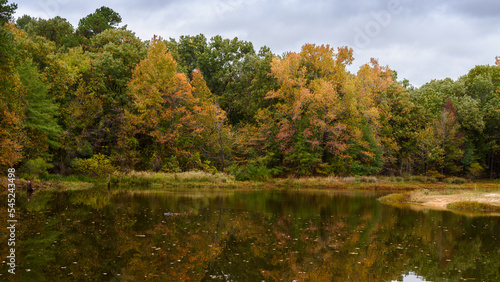 Fall Foliage - Lake Bob Sandlin SP-6576