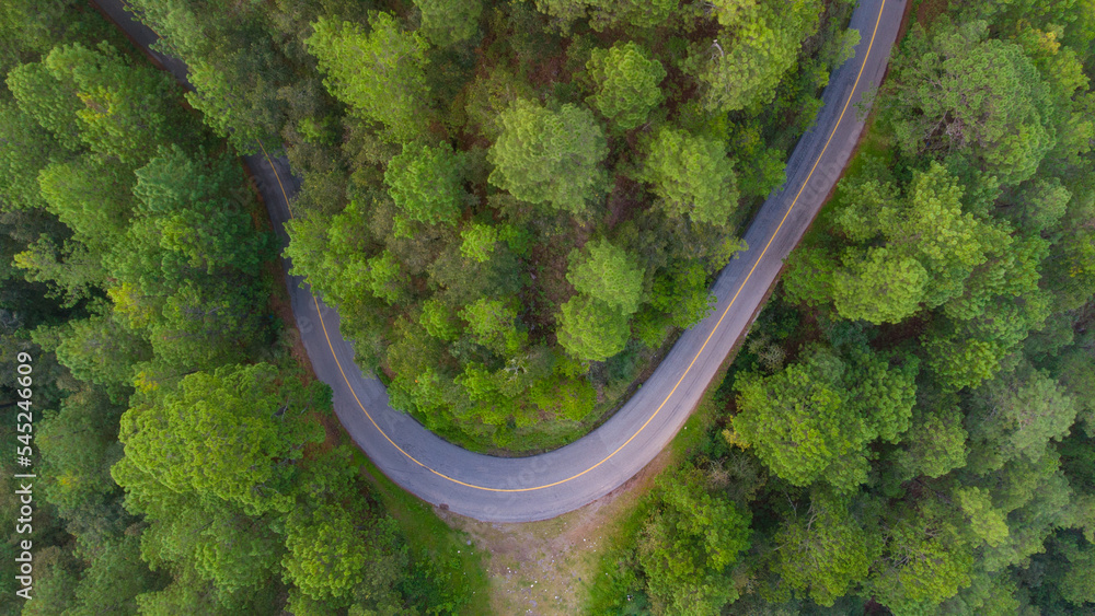 aerial view of beautiful road curve in the middle of the forest