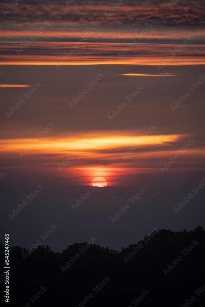 Vertical sunrise view with a red sun making clouds purple and tree silhouettes around