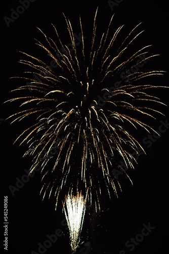 Vertical shot of fireworks at night