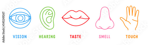 Five human senses. Vision, smell, hearing, touch, taste icons. Human sensory organs. Eye, nose, ear, hand, mouth icons.