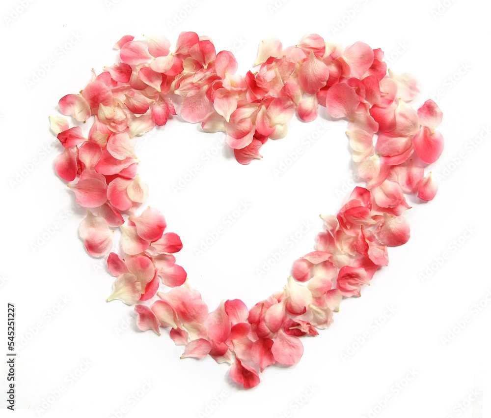 Flower Petals forming a heart shape ring against white background