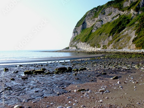 Shore of the Whitecliff bay in England photo