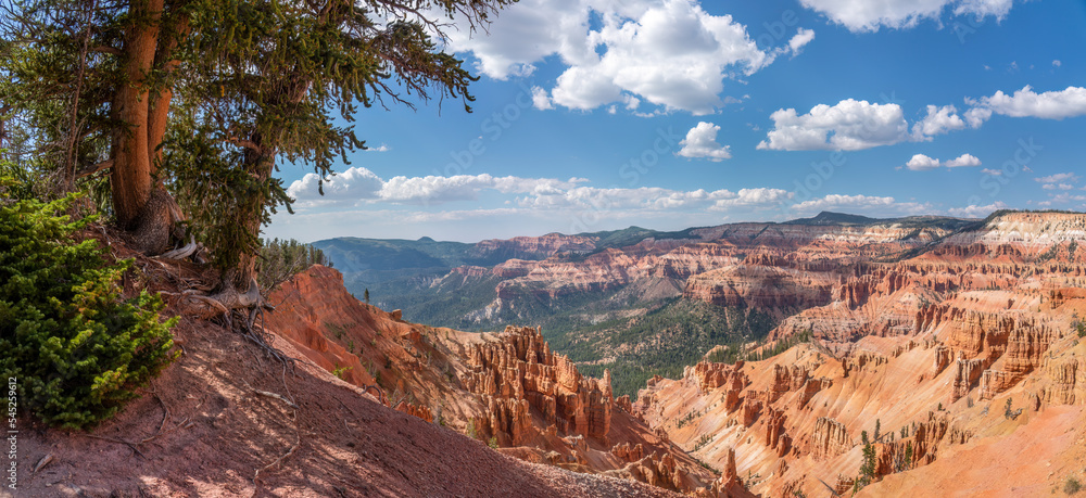 View from Ramparts Trail in the Cedar Breaks national monument - Utah - amphitheater