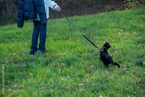 Black cat runs on meadow with owner © Claudia Evans 