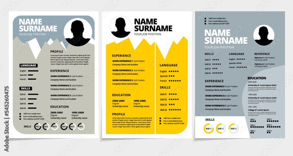 Professional resume template design. Business layout vector for job ...