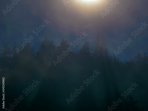 View of sunrise over a forest of fir trees in the Columbia River National Scenic Area, Crown Point, Oregon