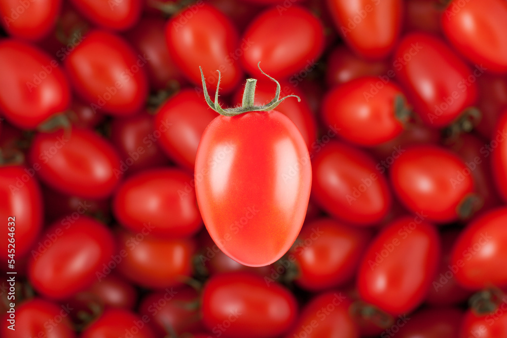 creative image of single cherry tomato in front of defocused heap of tomatoes creative image of single cherry tomato in front of defocused heap of tomatoes