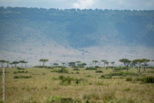 View over Kenyan savannah during the day
