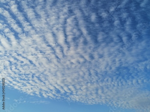 Fondo natural con detalle de nubes sesgadas en tonos blancos y cielo azul intenso