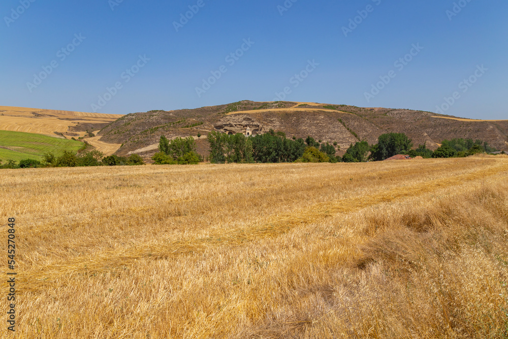 view of a crop field in Spain