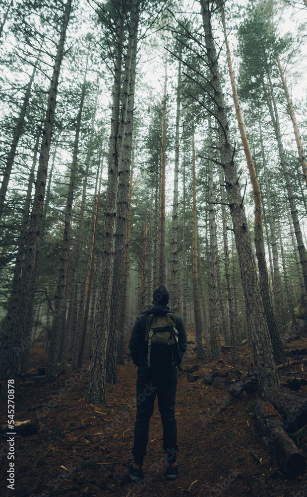 LONELY MAN WALKING IN THE FOREST 2 LONELY MAN WALKING IN THE FOREST 2