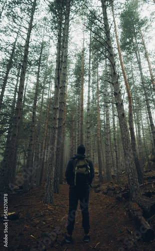 LONELY MAN WALKING IN THE FOREST 2