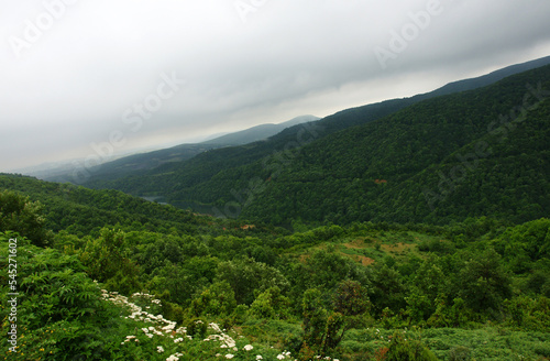 Gökçe Dam Lake, located in Yalova, Turkey, is an important tourist area with its nature and silence. photo