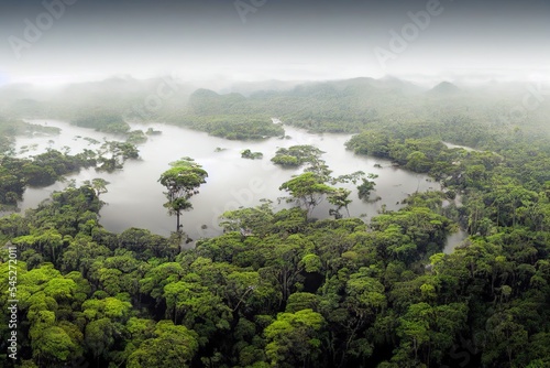 Aerial drone image of the rainforest and a small river at Amboro National Park, Bolivia photo