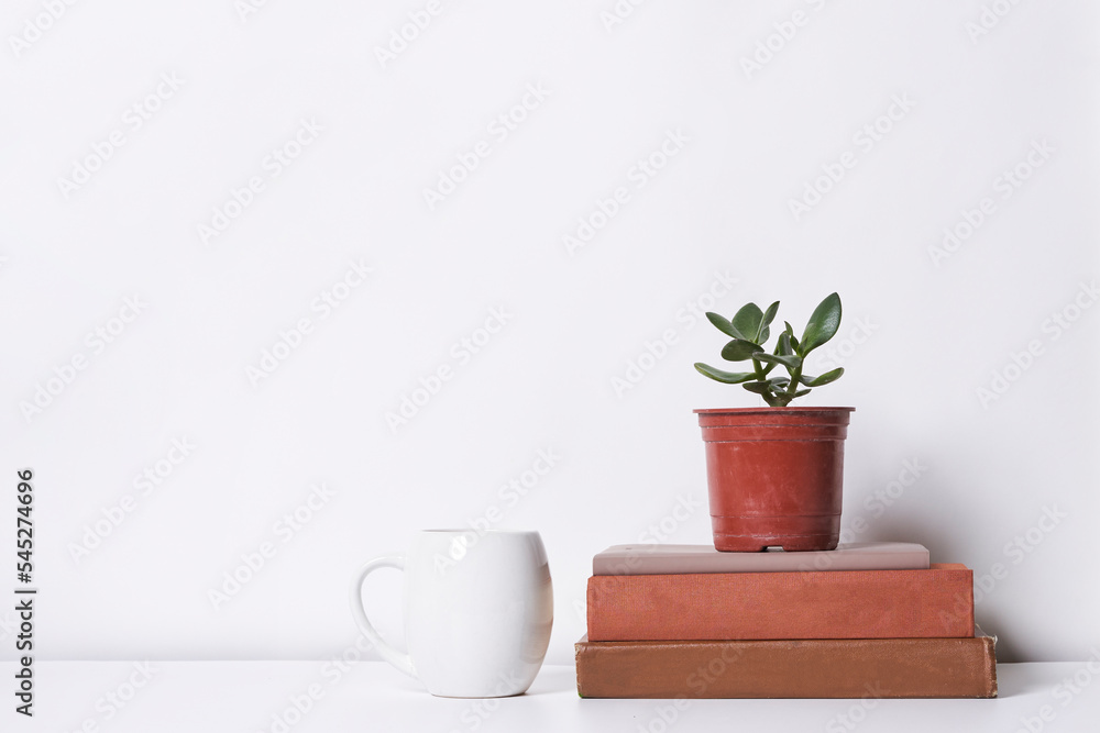some books and a pot with a plant in it sitting on top of a stack of books next to a coffee mug some books and a pot with a plant in it sitting on top of a stack of books next to a coffee mug