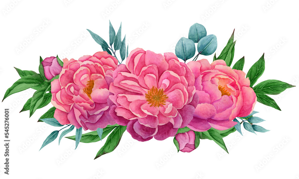 composition with peony flowers and eucalyptus leaves.