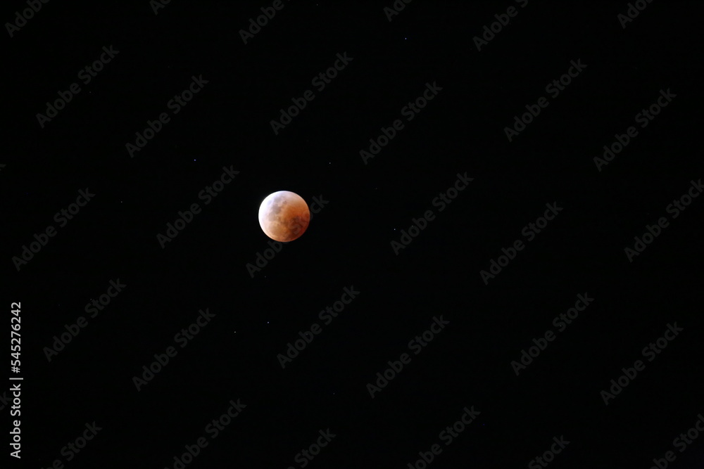 Blood Moon Eclipse Isolated Black Sky in Australia Blood Moon Eclipse Isolated Black Sky in Australia