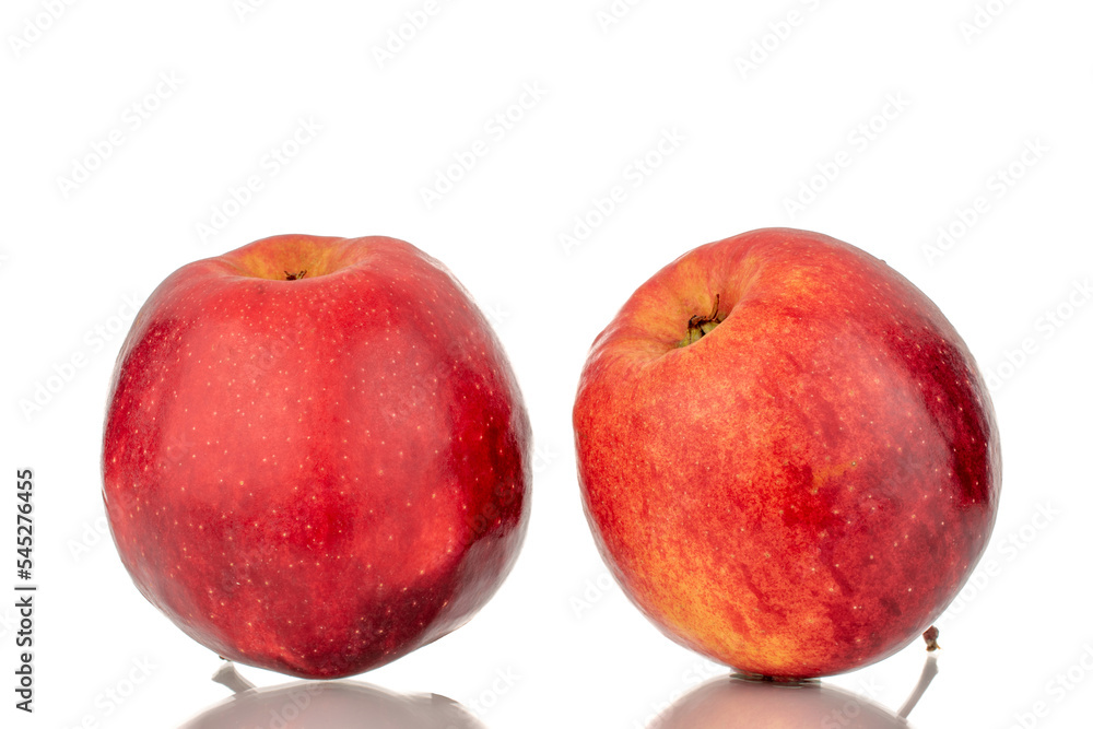 Two red ripe apples, macro, isolated on white background. Two red ripe apples, macro, isolated on white background.