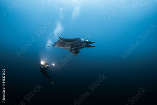 under water photographer with manta ray