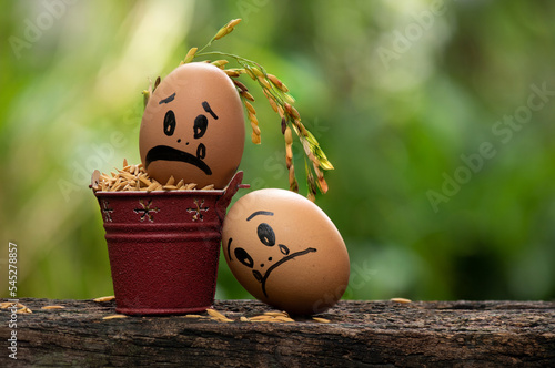 Fotografia Sad egg face and paddy after the flooding.