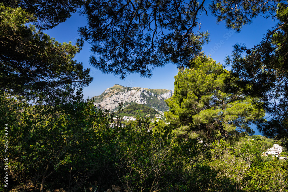 Mount Solaro on the Island of Capri framed by vegetation on a bright sunny day.