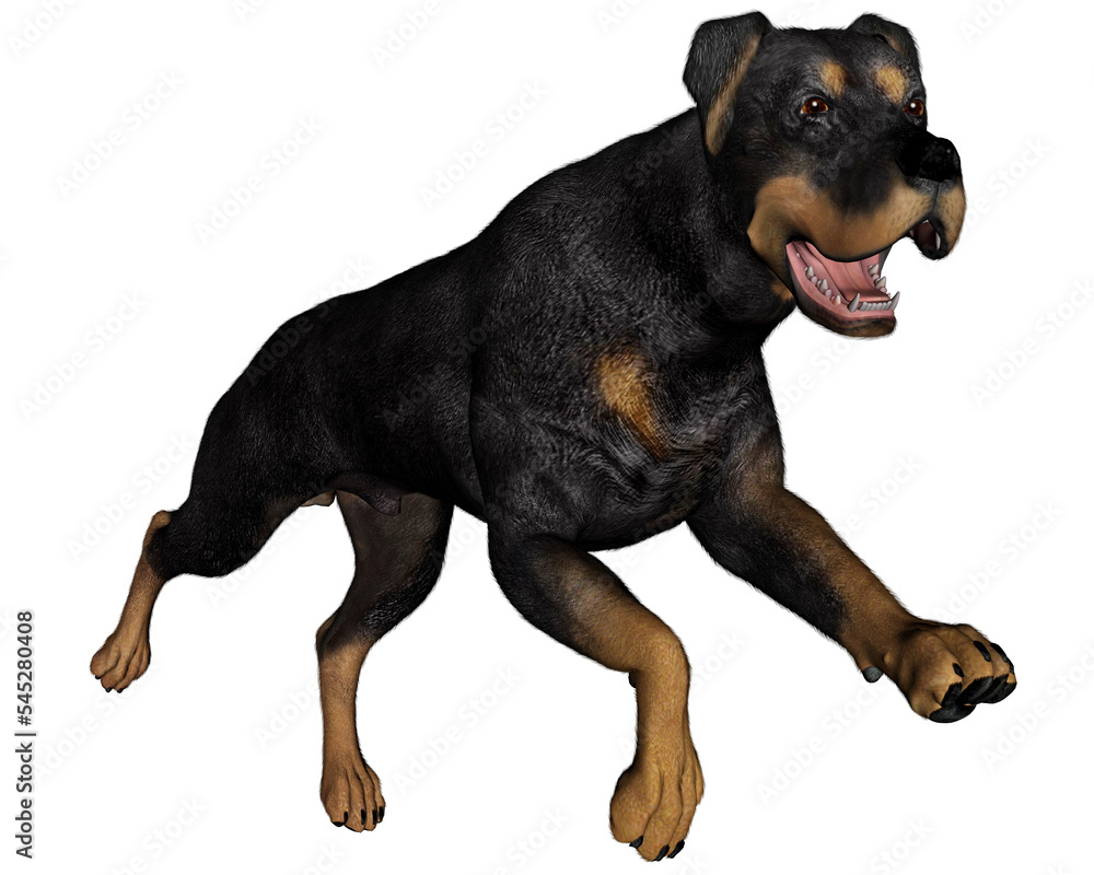 Fototapeta premium Rottweiller dog running - 3D render