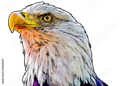 PNG with a transparent background digital portrait painting comic book style illustration of a bald eagle