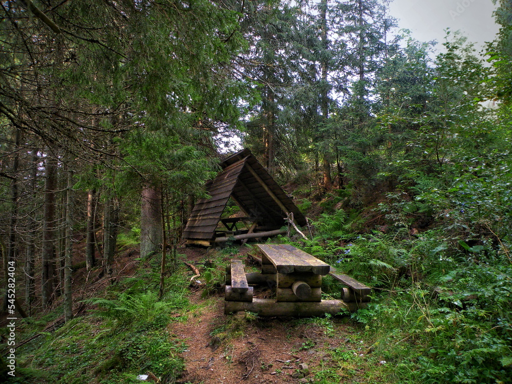 Old wooden gazebo in the forest Old wooden gazebo in the forest