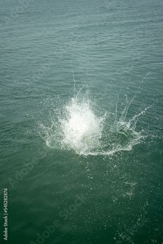 Sea water splashes after jumping to the ocean on dark green ripples background © Mounir