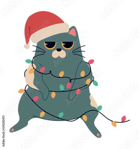 christmas cat with lights