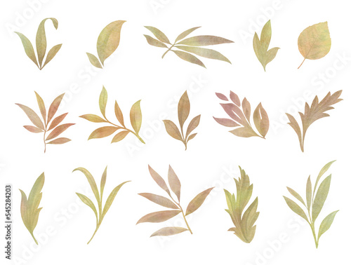 Set of watercolor leaves for design of cards and invitations