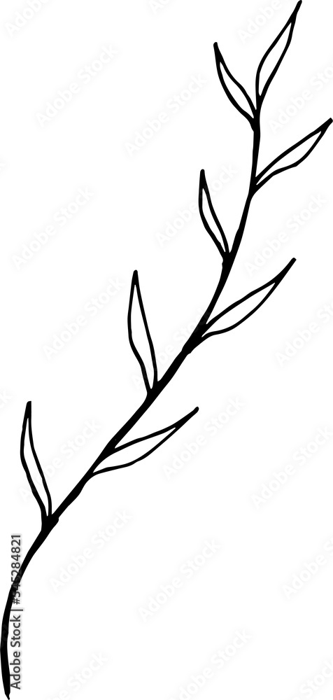 Fototapeta premium branch outline