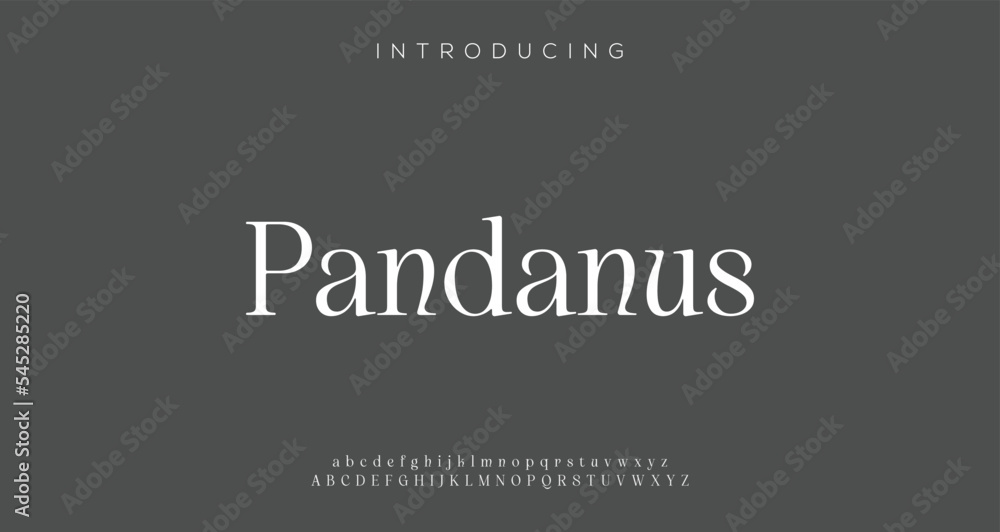 PANDANUS Minimal luxury typo Font and Modern tech Typography urban
