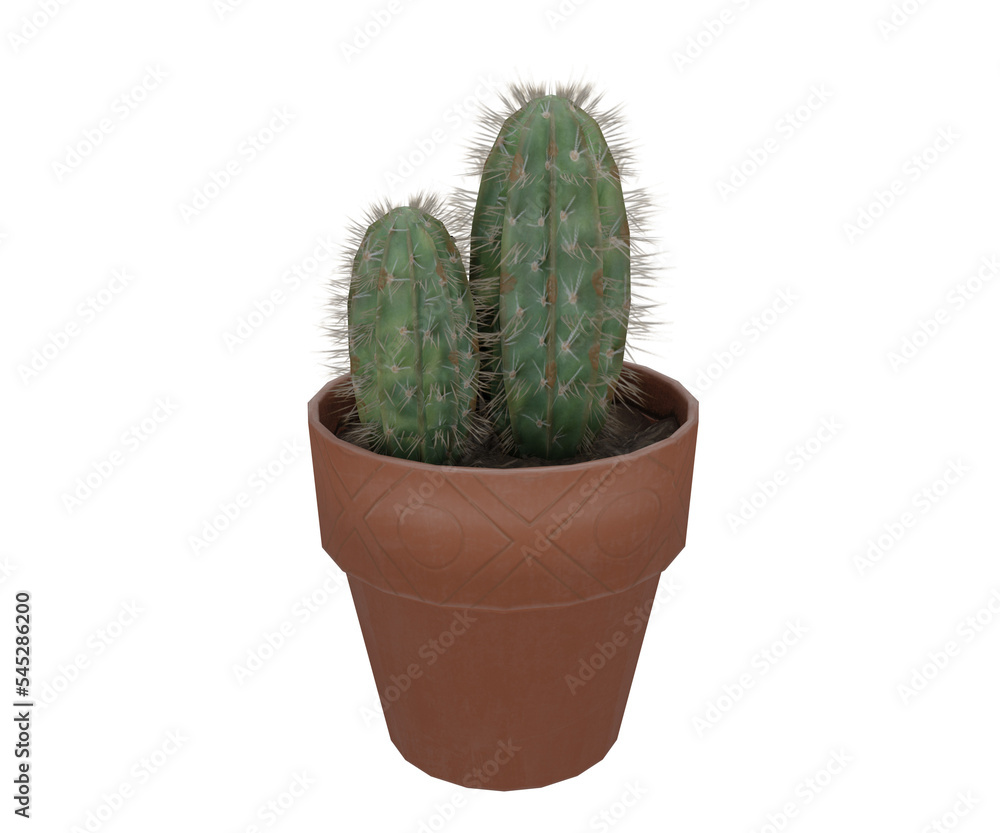 3d rendering realistic potted cactus 3d rendering realistic potted cactus
