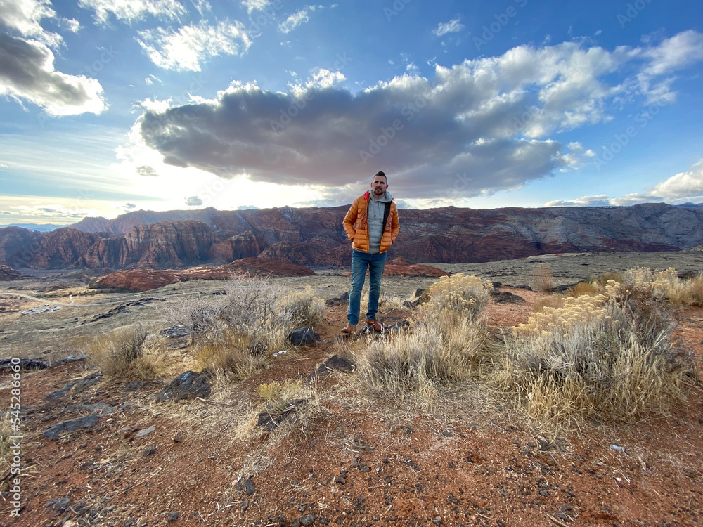 Obraz premium Snow Canyon Overlook, Utah