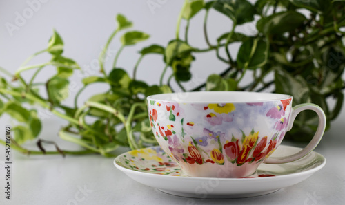 Cup of tea and plant