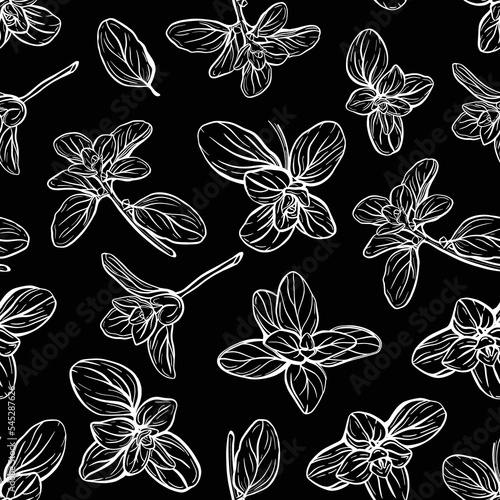 Basil Seamless Pattern. Italian herbs.A sprig of marjoram. Basil is a fragrant and fragrant seasoning. Hand-drawn illustration
