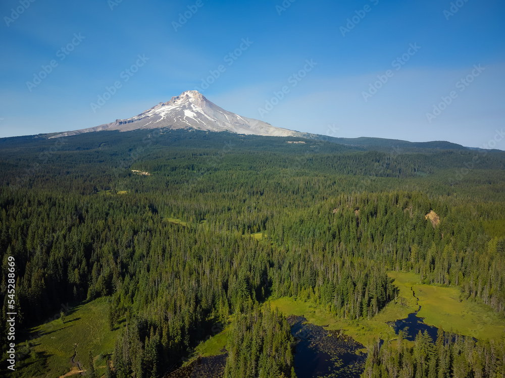 Fototapeta premium A green, hilly meadow and a high snow-capped mountain in the distance. Clear cloudless sky. The beauty and grandeur of pristine nature, environmental protection, weather, climate.